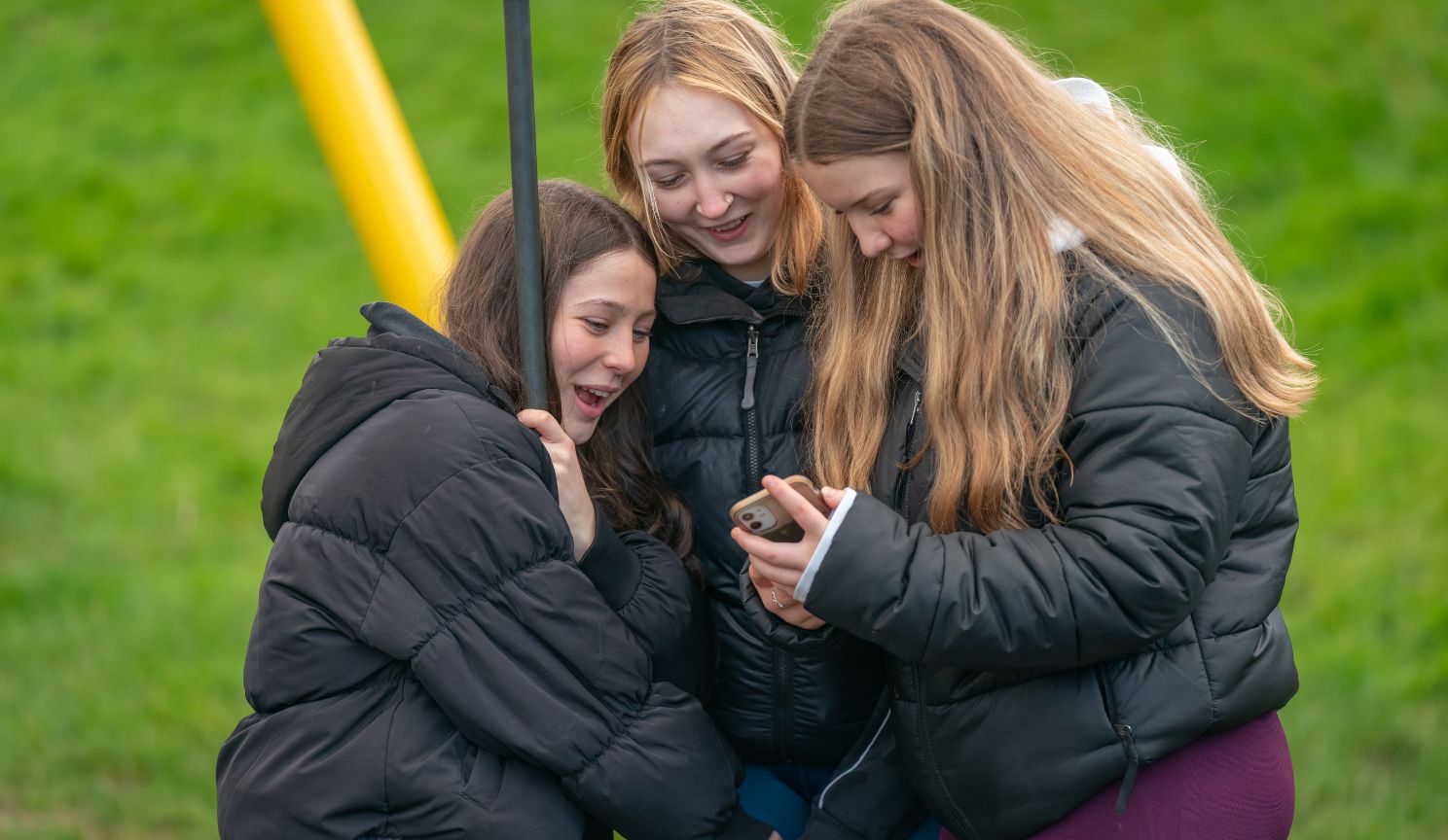 teen girls reacting to something on mobile telephone